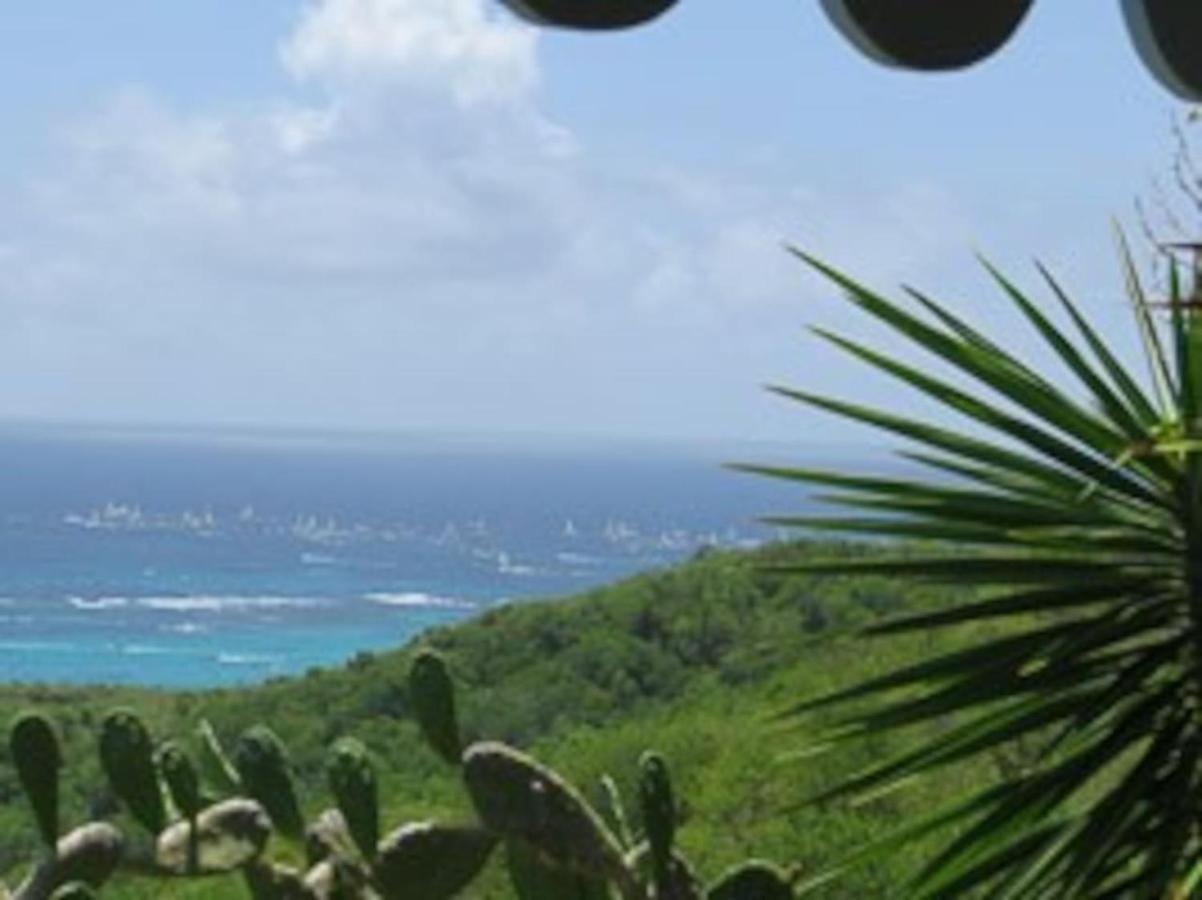 Villa Du Cap Beauchene Le Marin Eksteriør billede